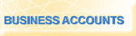 Business Web Hosting Accounts